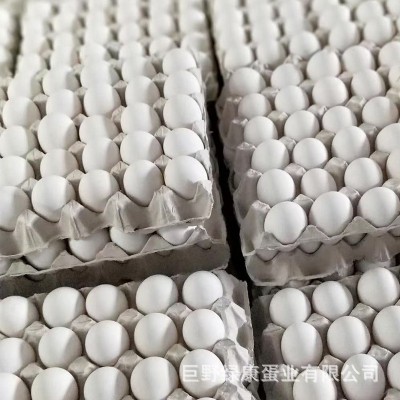现货白壳新鲜鸡蛋批发白壳鸡蛋五谷喂养鲜鸡蛋360枚一箱厂家批发图2
