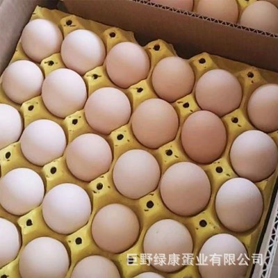 厂家直销红壳鸡蛋新鲜鸡蛋批发360枚整箱批发新鲜直达五谷饲养图2