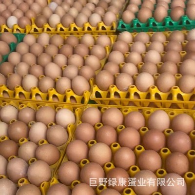 厂家直销红壳鸡蛋新鲜鸡蛋批发360枚整箱批发新鲜直达五谷饲养图3