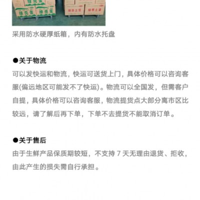 【厂家直销】精品初生小绿壳蛋480枚/箱毛重35-40斤图4