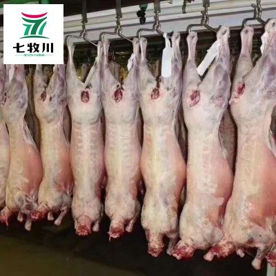 新西兰进口全羊 清真绵羊酮体羊腔子 餐饮食堂批发新鲜冷冻整羊图3