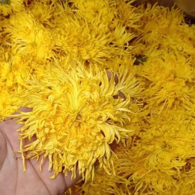 大量批发新金丝皇菊一朵一杯基地直供菊花茶一箱12斤散装精品花茶图3