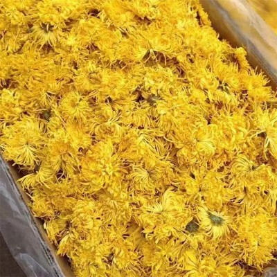 大量批发新金丝皇菊一朵一杯基地直供菊花茶一箱12斤散装精品花茶图5