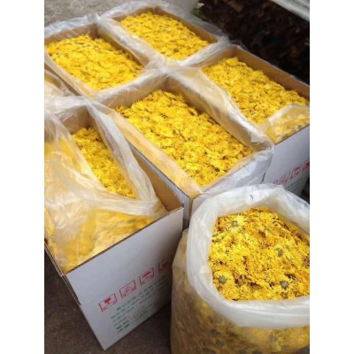 大量批发新金丝皇菊一朵一杯基地直供菊花茶一箱12斤散装精品花茶图4