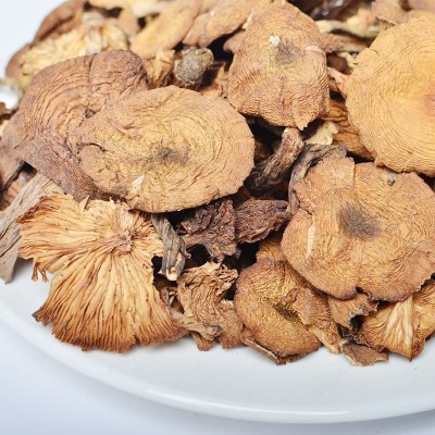榛蘑东北野生菌菇干货小鸡炖蘑菇产地直发 野生榛蘑图4