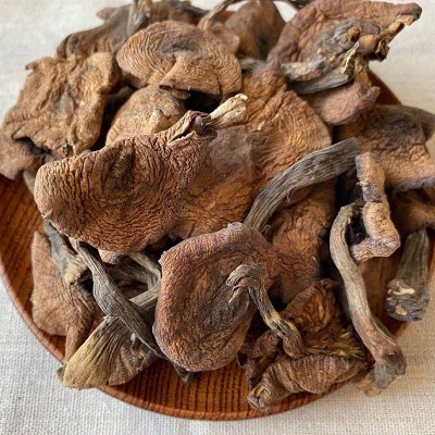 榛蘑东北野生菌菇干货小鸡炖蘑菇产地直发 野生榛蘑图2