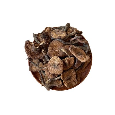 榛蘑东北野生菌菇干货小鸡炖蘑菇产地直发 野生榛蘑图5