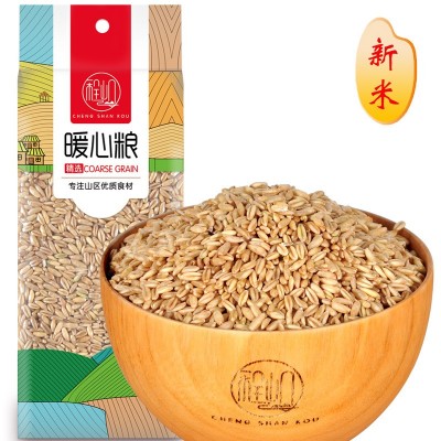 程山口燕麦米粗粮大麦子五谷杂粮小麦仁米生燕麦仁胚芽米农家480g