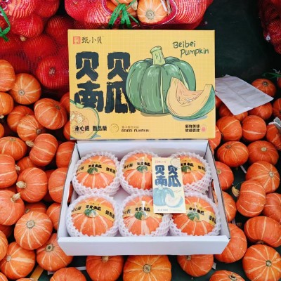 山东红贝贝南瓜一件代发4.5斤板栗味金贝贝小南瓜栗面吊瓜粗粮