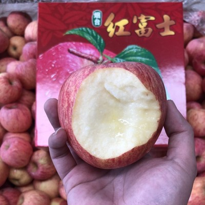 正宗烟台红富士栖霞苹果当季现摘现发一件代发红富士礼盒一级图2
