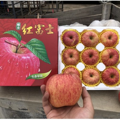 正宗烟台红富士栖霞苹果当季现摘现发一件代发红富士礼盒一级