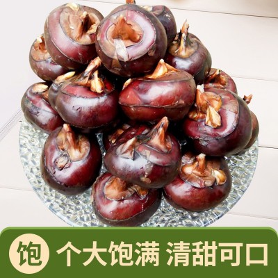 广西荔浦新鲜马蹄荸荠水果蔬菜鲜甜多汁马蹄农家现挖一件代发图3