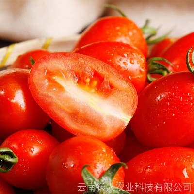 红色圣女果红云南新鲜水果酸甜可口小番茄圣女果产家直供支持批发图5