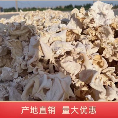 白木耳兔耳菌竹耳朵型完整肉质厚实产地干货批发白木耳图5
