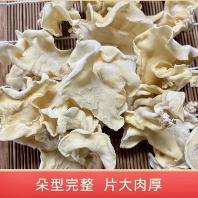 白木耳兔耳菌竹耳朵型完整肉质厚实产地干货批发白木耳图3