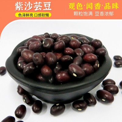 厂家供应紫圆芸豆 紫芸豆 五谷杂粮紫砂芸豆批发