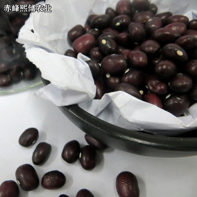 厂家供应紫圆芸豆 紫芸豆 五谷杂粮紫砂芸豆批发图4