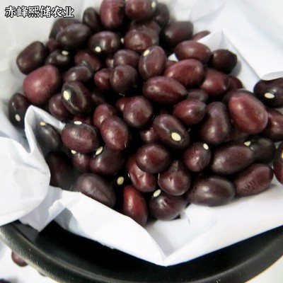 厂家供应紫圆芸豆 紫芸豆 五谷杂粮紫砂芸豆批发图3
