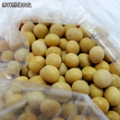 内蒙农家自产黄豆 五谷杂粮豆浆磨粉原料黄豆 做豆腐用大豆图3