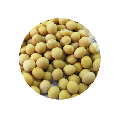 内蒙农家自产黄豆 五谷杂粮豆浆磨粉原料黄豆 做豆腐用大豆图5
