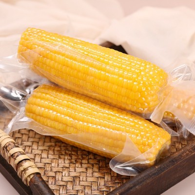 黄糯玉米方便速食东北玉米棒8支/箱真空包装批发量大从优甜糯玉米图2