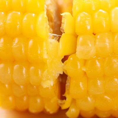 黄糯玉米方便速食东北玉米棒8支/箱真空包装批发量大从优甜糯玉米图4