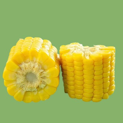 念初好物熟甜玉米棒水果玉米批发即食真空装玉米棒子代餐早餐粗粮图2