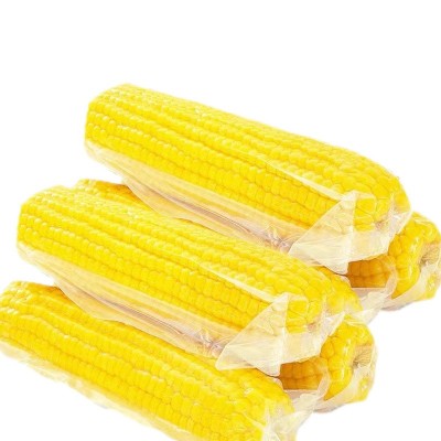 念初好物熟甜玉米棒水果玉米批发即食真空装玉米棒子代餐早餐粗粮图5