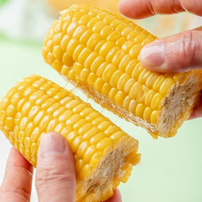 念初好物糯玉米棒子即食批发真空装整箱10根甜玉米一件代图3