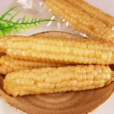 玉米香甜软糯白糯玉米即食代餐粗粮批发西双版纳香甜玉米真空包装图4
