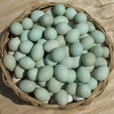 喷码绿壳乌鸡蛋批发农家林间散养虫草五谷鸡蛋 产地直发免费喷码图3