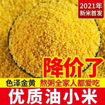 山西黄小米油小米新米编织袋5斤装特产五谷杂粮香糯米油厚小米粥图4