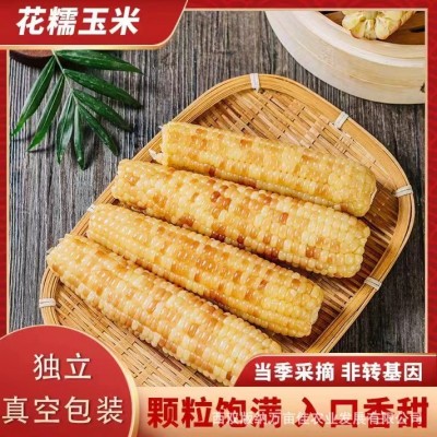 云南西双版纳特产老品种花糯小玉米源头工厂直发玉米图2