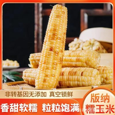 云南西双版纳特产老品种花糯小玉米源头工厂直发玉米图3