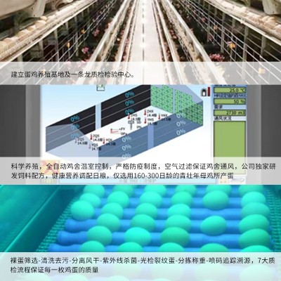可生食无抗富硒 叶黄素土鸡蛋虫草蛋新鲜鸡蛋流心温泉蛋40枚批发图4