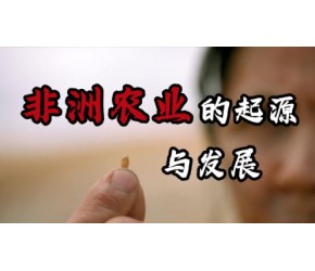 非洲农业的起源与发展