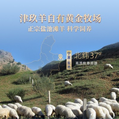宁夏盐池滩羊肉羊蝎子新鲜带肉羊脊骨羊脊椎生鲜冷冻家用火锅食材图3