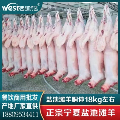 商用批发宁夏盐池滩羊绵羊胴体白条羊-火锅食材烧烤食材厂家直供