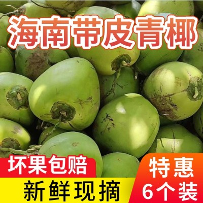 带皮文昌海南椰子新鲜椰青整箱现摘当季饮料纯天然椰汁一件代发图3