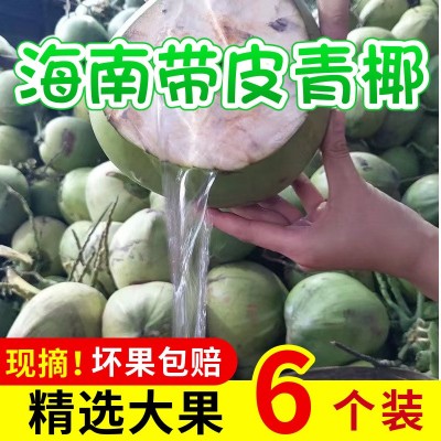 带皮文昌海南椰子新鲜椰青整箱现摘当季饮料纯天然椰汁一件代发图4