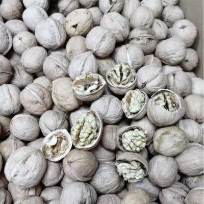 新疆阿克苏纸皮核桃185中果手捏即开散装整箱20斤核桃批发现货图3