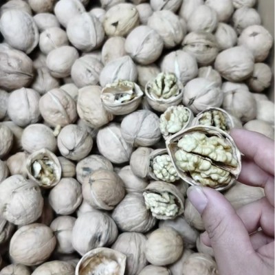 新疆阿克苏纸皮核桃185中果手捏即开散装整箱20斤核桃批发现货图4