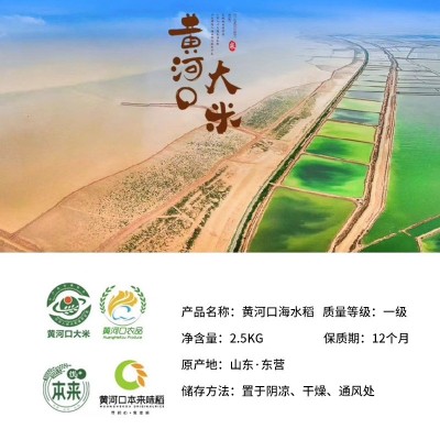 海水稻 黄河海水稻海水稻大米2.5kg盐碱地大米5斤 新米图3
