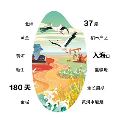 海水稻 黄河海水稻海水稻大米2.5kg盐碱地大米5斤 新米图2