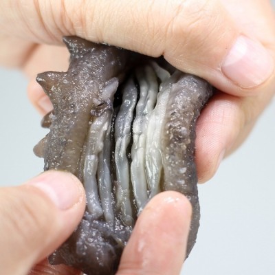 源头工厂 批发零售年货水产即食海参15-25头/500克冷蒸即食海参图4