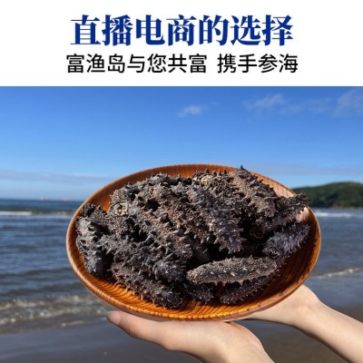 富渔岛小参王9A大 连海参电商专供国标淡干个大肉厚辽刺参一件代发图2