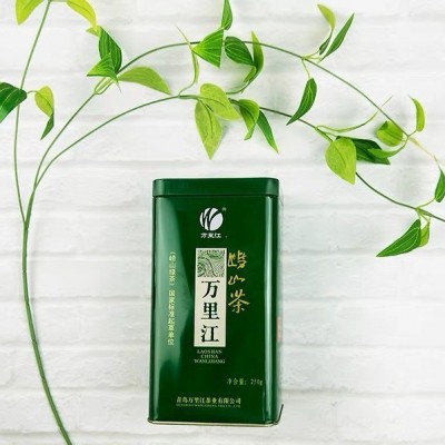 万里江新茶豌豆香浓郁崂山绿茶250g礼盒罐装青岛特产耐泡 崂山绿茶图3