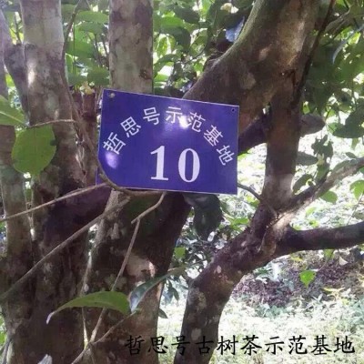 普洱茶熟茶饼 普洱茶饼 云南七子饼茶 普洱茶叶哲思号图3