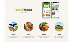 农业认养：智慧农业技术引领下的现代农业革新