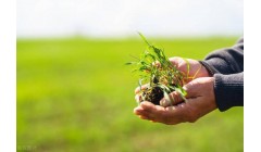 农业知识大全种植技术